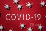 Инфекционист Минздрава: активное распространение коронавируса продлится до июня