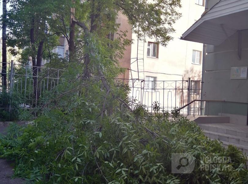Как быстро отреагируют, неизвестно Как быстро отреагируют, неизвестно