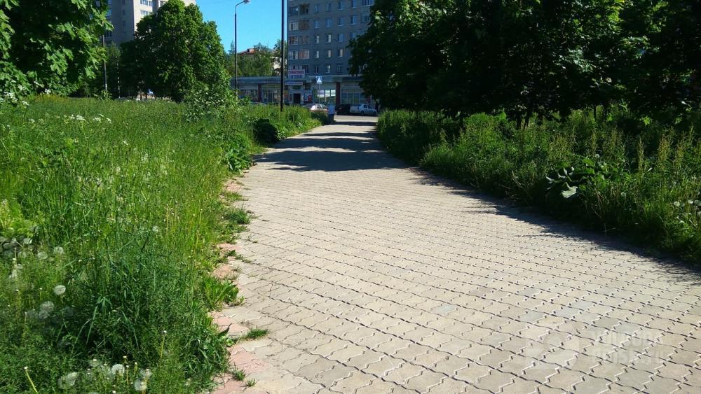 Парк у Элмы зарос травой Парк у Элмы зарос травой