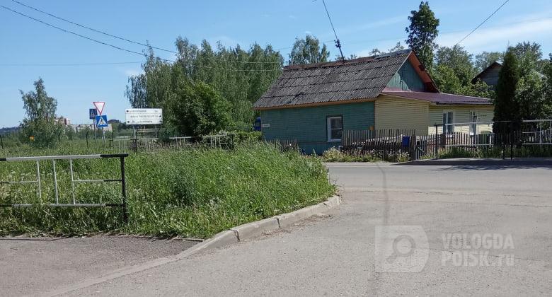 Борщевик у самой пешеходной дорожки Борщевик у самой пешеходной дорожки