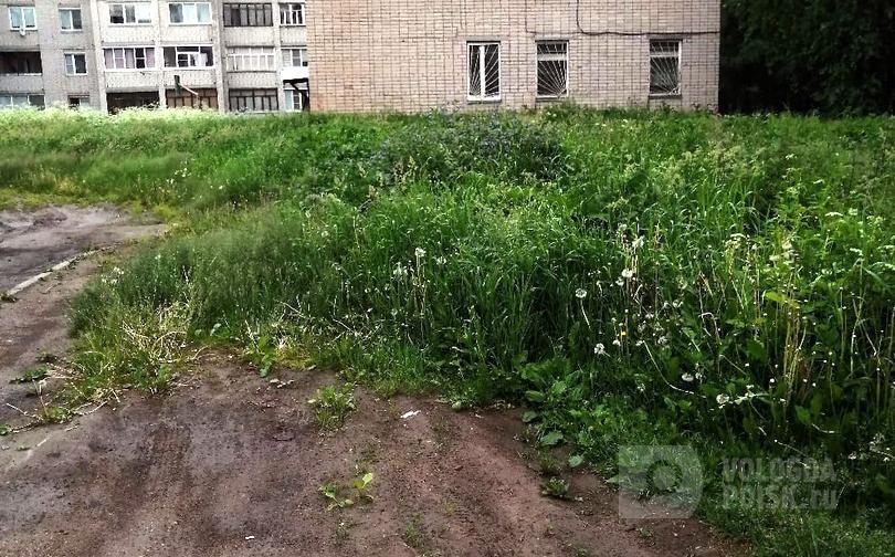 Управляющая компания не работает. Чернышевского, 118б Управляющая компания не работает. Чернышевского, 118б