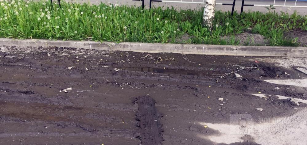 Люди налоги в казну города платят, поэтому заставьте себя дать поручение убрать грязь Люди налоги в казну города платят, поэтому заставьте себя дать поручение убрать грязь