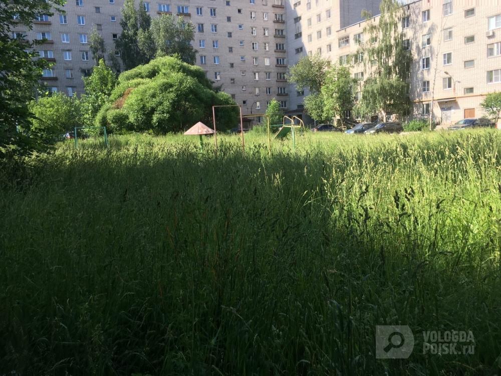 Детской площадки из-за травы не видно Детской площадки из-за травы не видно