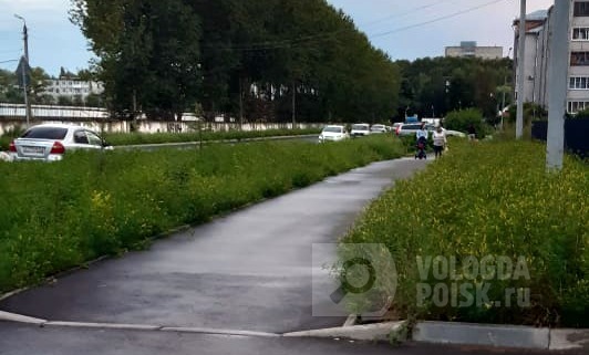 Покосить бы тоже не мешало Покосить бы тоже не мешало