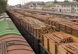 Бревно в чужом глазу: половина российского экспорта древесины уходит в Китай