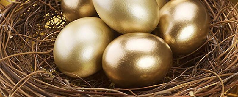 Найдите золотое яйцо. Золотое яйцо. Яйцо золото. Золотые яйца в интерьере. Преимущество золотые яйца.