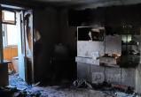 Вся семья погибла утром в сгоревшей квартире на Пошехонском шоссе в Вологде