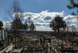 На Троицу и в канун праздника в Вологде увеличат количество автобусных рейсов на кладбища