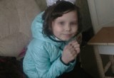 "Семья была неблагополучной": девочка из Вологды убита из-за равнодушия ПДН?