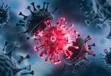 Врачи рассказали, какая группа населения имеет повышенный риск заражения омикрон-штаммом коронавируса