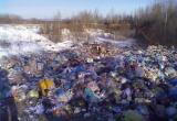 В Вологодской области обнаружена нелегальная свалка в природоохранной зоне 