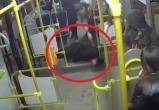 Вологжане сыплются в автобусах города, как кегли: опубликованы видео шарахнувшихся граждан 