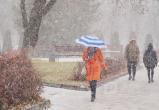 Мерзкий май: заморозки, северный ветер и снежная крупа «порадуют» вологжан на выходных
