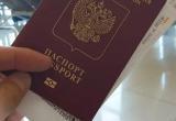В Госдуме оценят идею выдавать паспорт только "хорошим русским"
