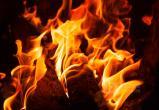 В Устюженском районе дача сгорела вместе с пожилой хозяйкой