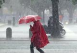 Мокро и жарко: погода по-прежнему не балует жителей региона