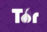 "Tor, ухАди!": Роскомнадзор требует удалить приложение браузера 