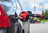 Не больше 50 литров в одни руки: продажу топлива планируют ограничить
