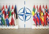 Европейцы заговорили о необходимости ликвидации бесполезного НАТО