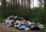 В Вологодской области может прекратиться вывоз мусора