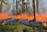 В ряде районов Вологодской области установили 4-й класс пожароопасности