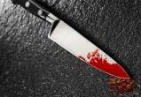 Пьяная дама ответила ударом ножа на предложение сожителя в Грязовце