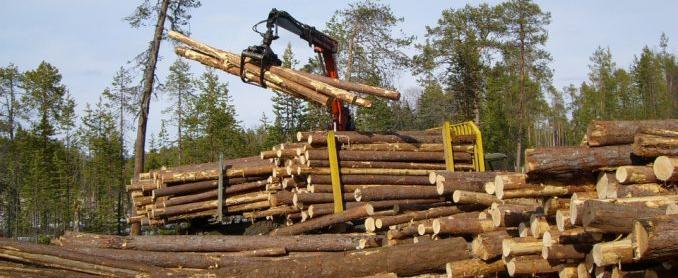 Специалисты  ООО «Вологодский лес» завершили обучение в рамках нацпроекта «Производительность труда»