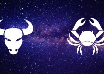 Французские астрологи назвали два самых умных знака зодиака