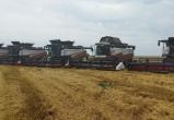 Вологодской области выделят около 9 млн рублей на возмещение затрат на производство зерна