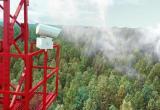Четверть всех лесных пожаров в регионе специалисты выявили  благодаря системе видеомониторинга «Лесохранитель»