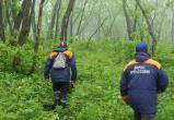 В харовском лесу исчез 86-летний пенсионер