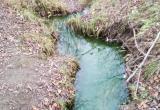 Вологжане интересуются, кто воду в реке Путка сделал такой «красивой»