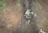 Трусливые пиндосы скрывают комментарии сограждан, восхищенных бесстрашием русского солдата, отбивающегося от атаки украинского дрона