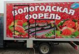 В Вологде начали продавать охлаждённую форель местных производителей