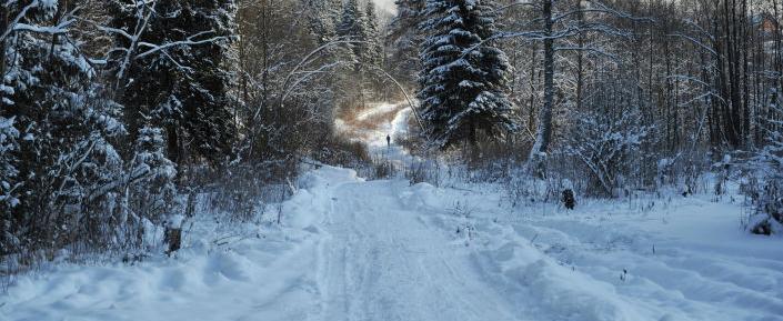 Синоптики Гидрометцентра: в Вологодскую область наконец-то пришла настоящая зима