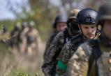 Раскрыта информация об огромных потерях армии под Артемовском