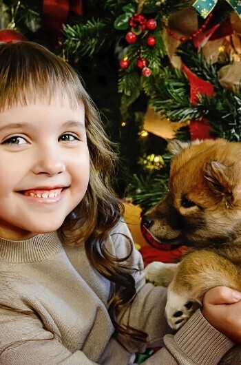 Фисенко Арина,6 лет