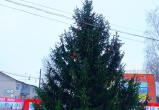 Скандальный Новый год на Вологодчине: красивую ель «умыкнули» со двора вологжан и установили на площади