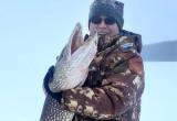 Отличный улов на Вологодчине: щука весом 13 кг стала трофеем удачливого рыбака