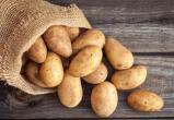 В картошке найдены элементы, способные помочь в борьбе с онкологическими заболеваниями
