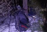 В Вологодской области 35-летний водитель снегохода разбился насмерть