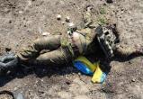 В ДНР анонсировали «кровавый свинорез» после окружения Бахмута