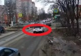 В Вологде вновь сбита собака, а водитель трусливо сбежал с места ДТП