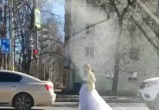 Слегка беременная невеста бросалась под машины на улице Чернышевского в Вологде 