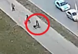 «Крыса» в образе мужчины-водителя атаковала велосипедиста на ул. Конева в Вологде