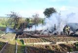 В Вологодской области в результате пожара сгорел домик для зимовки пчел