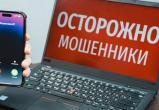 Полиция Вологодчины предупреждает о массовой мошеннической рассылке СМС от лица ведомства