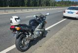 В Вологодской области сотрудники ГИБДД устроили «загонную охоту на суетливого кабанчика», нарушавшего ПДД на мотоцикле