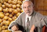 Ловкость рук - и никакого картофеля! «Питерские» на Вологодчине реализуют идеи Антибиотика 