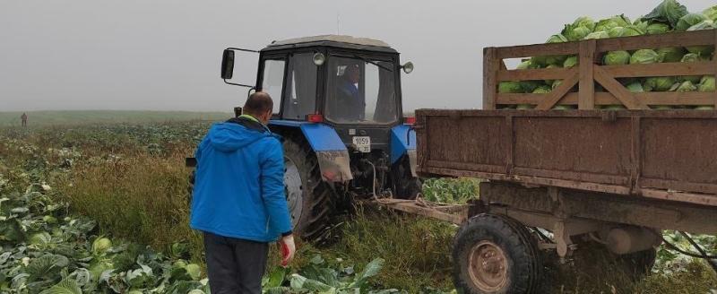 Фото со страницы «Департамента сельского хозяйства Вологодской области»